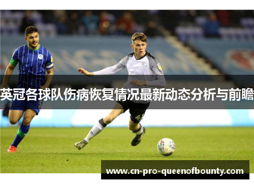 英冠各球队伤病恢复情况最新动态分析与前瞻