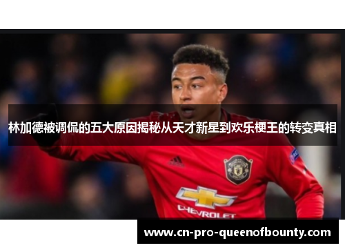 林加德被调侃的五大原因揭秘从天才新星到欢乐梗王的转变真相