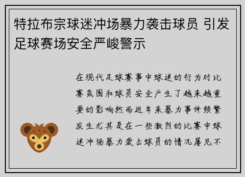 特拉布宗球迷冲场暴力袭击球员 引发足球赛场安全严峻警示